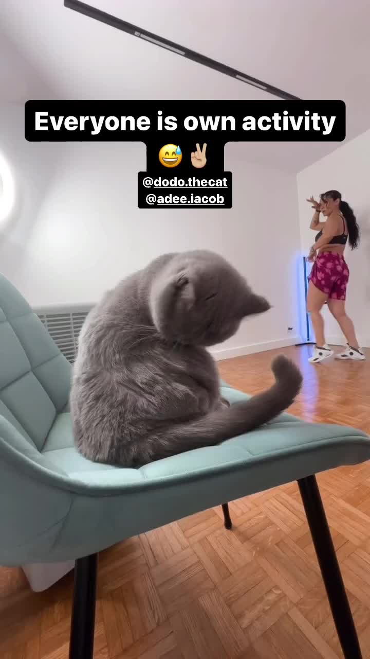 @DodoTheCat 😻