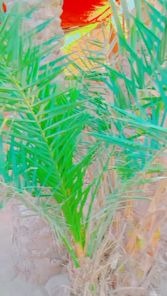 @buneriKing112