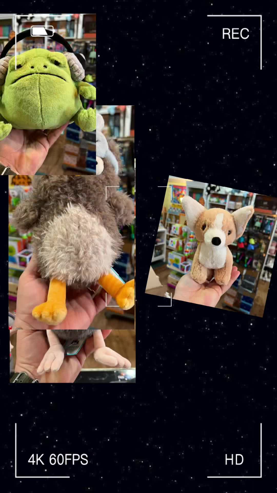 @Hopscotch Children’s Store