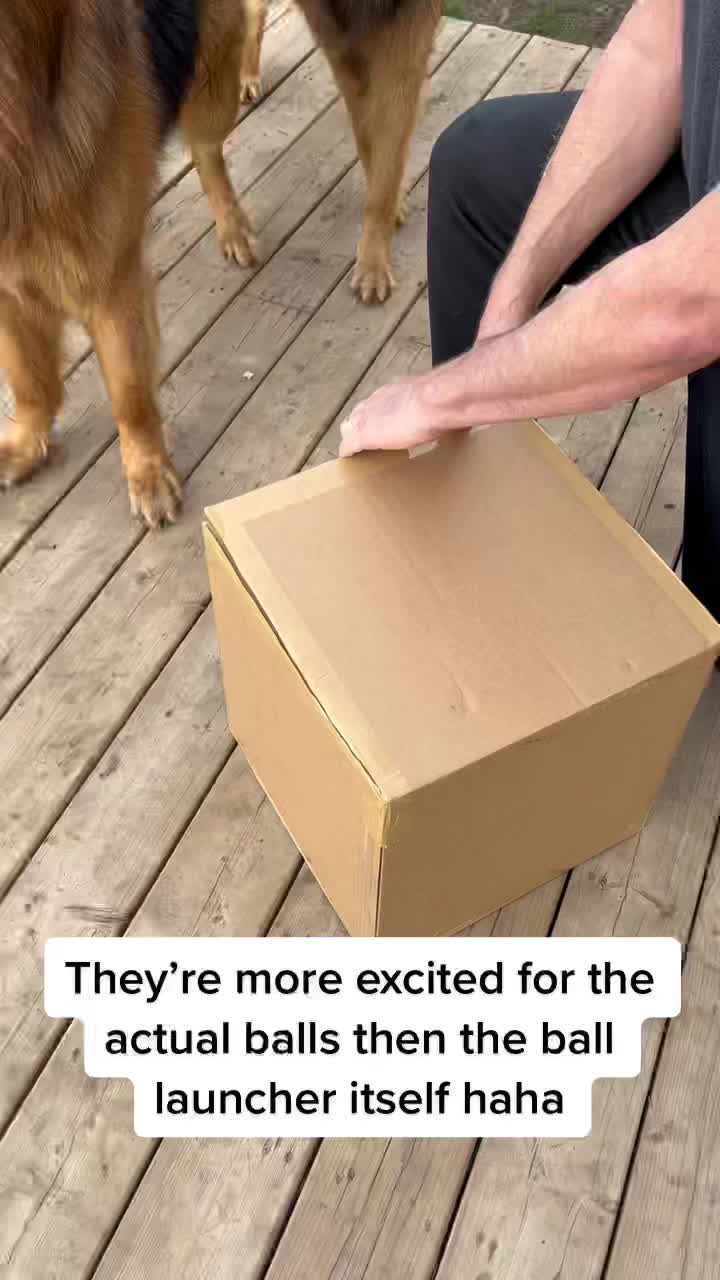 @ksdoggos