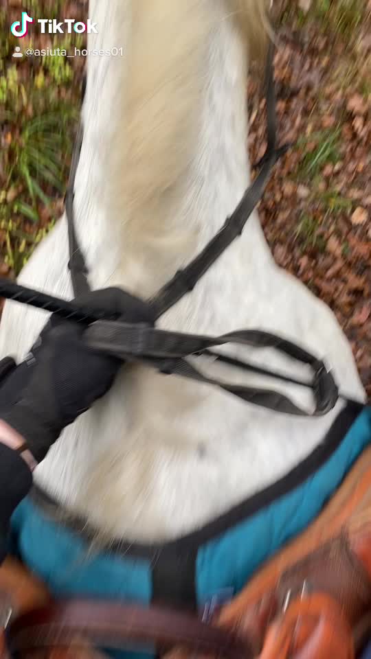 @Końska Grupa🐎