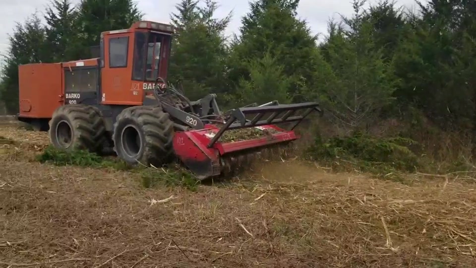 @TLC TREE CHAD