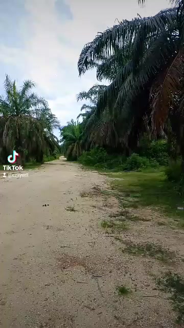 @Kecek Jan