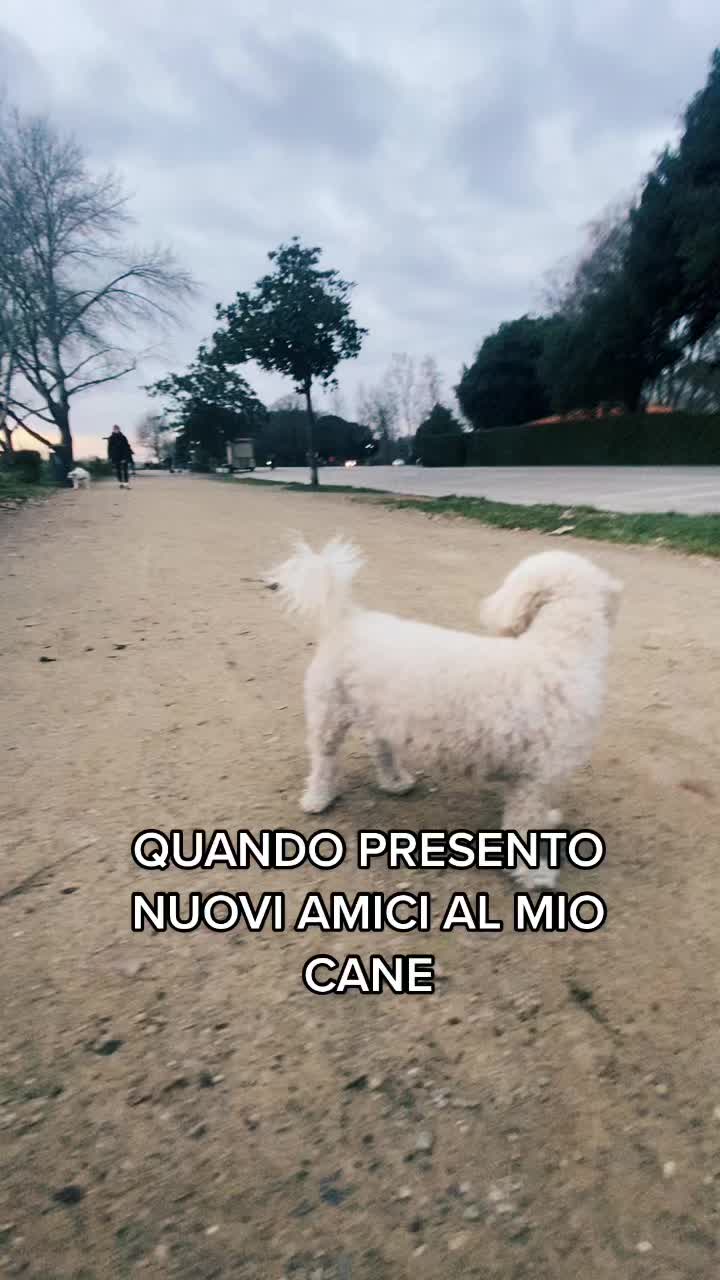 @DynamicFrankie