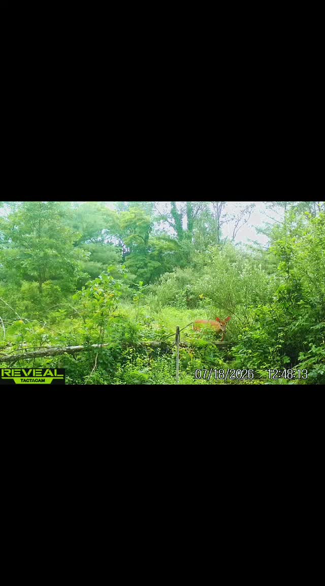 @Ciara • Adventure || Nature •