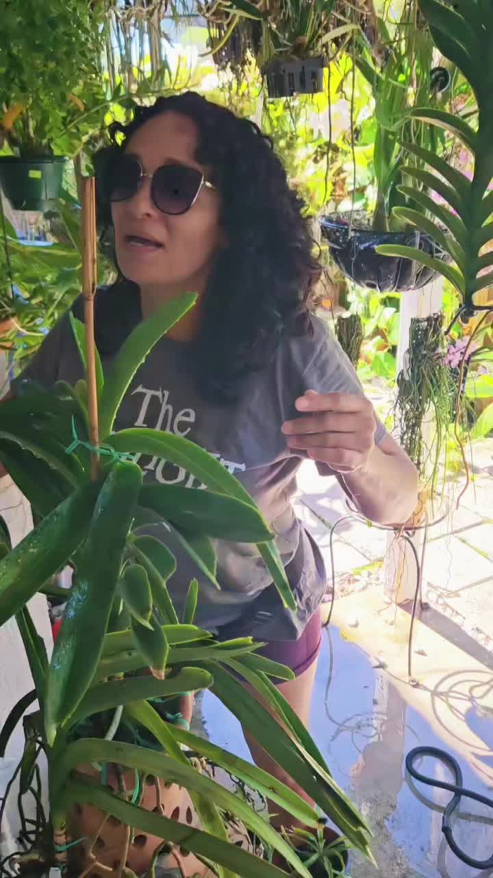@Ranja Guma