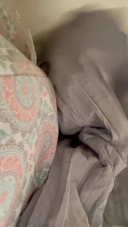 @katiefosterskitties