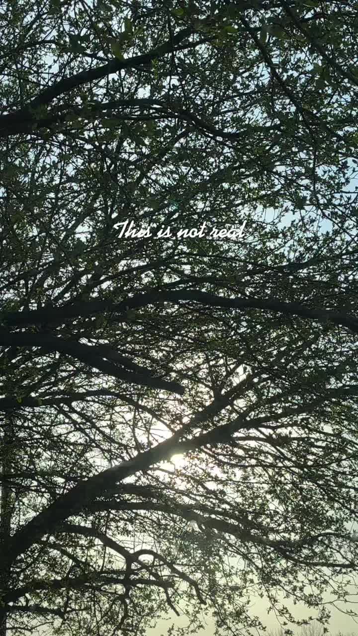@Sabbaru