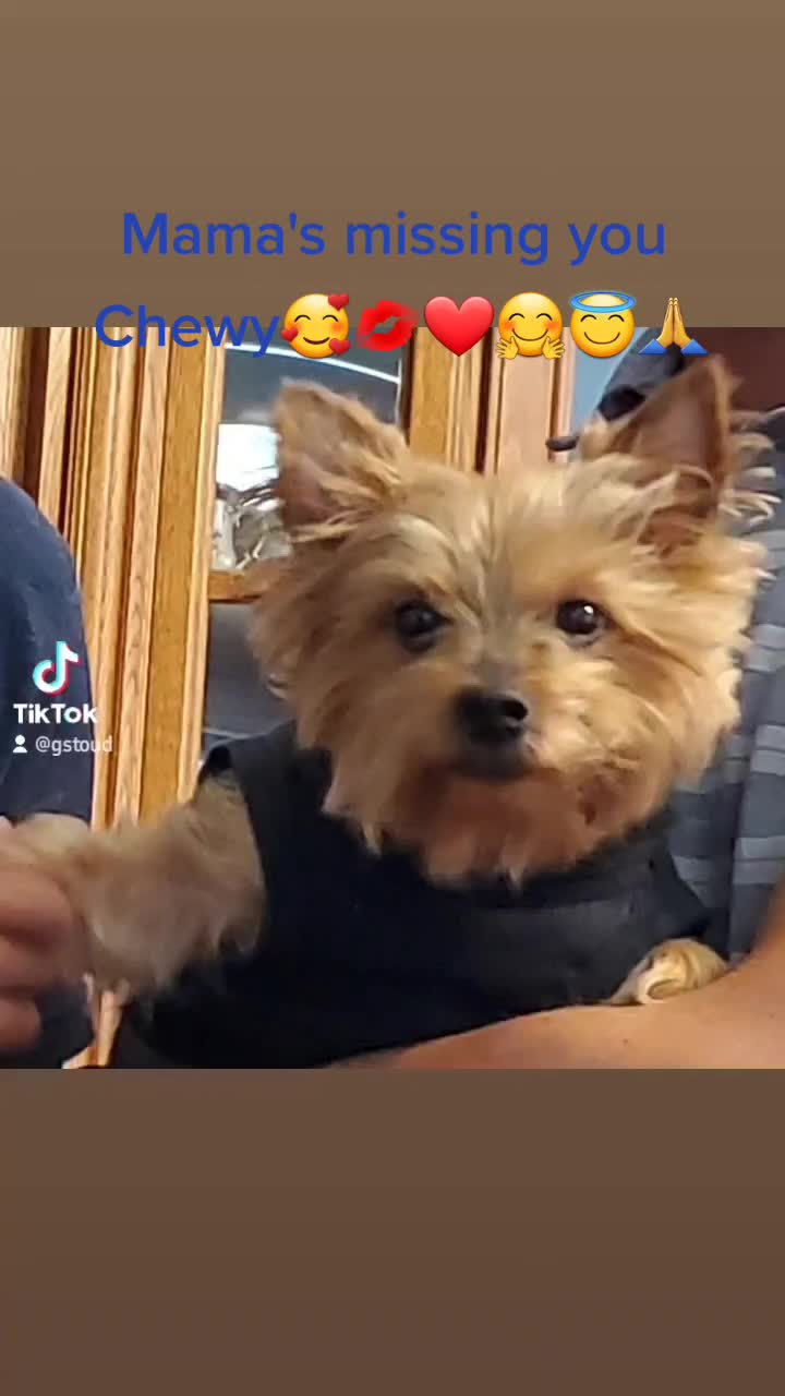 @Carmel_Delight💋🥰❤️