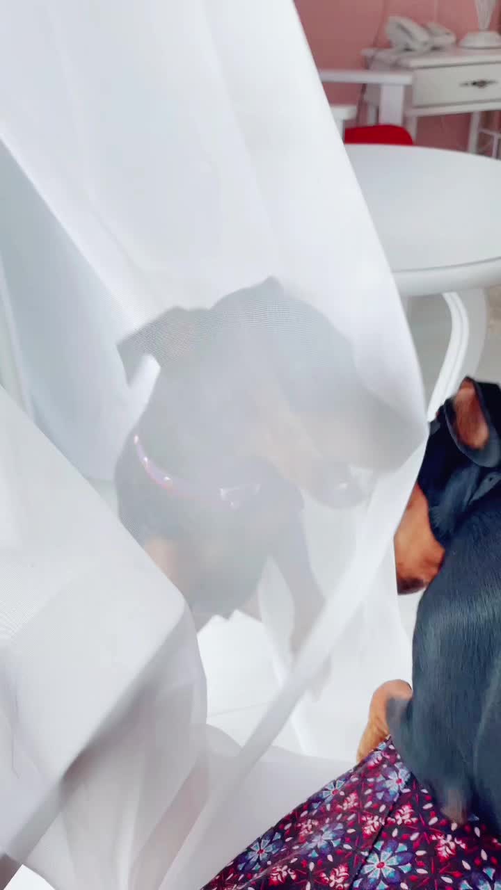 @OlSid