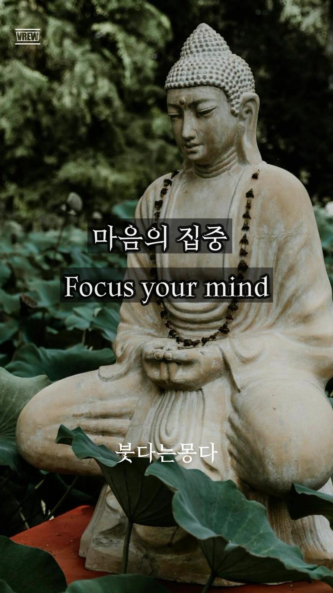@붓다는몽다