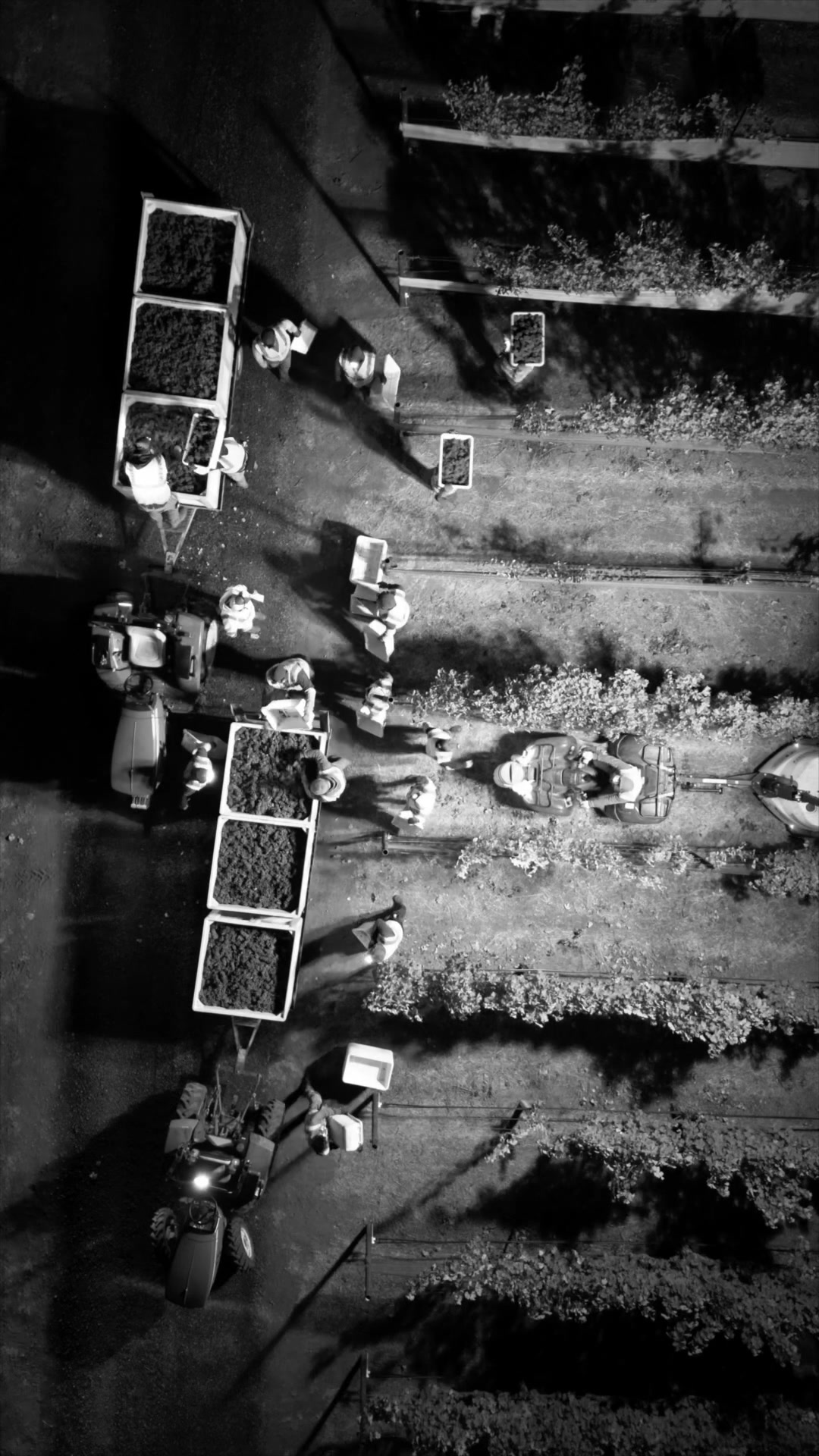@WineCountryDrone
