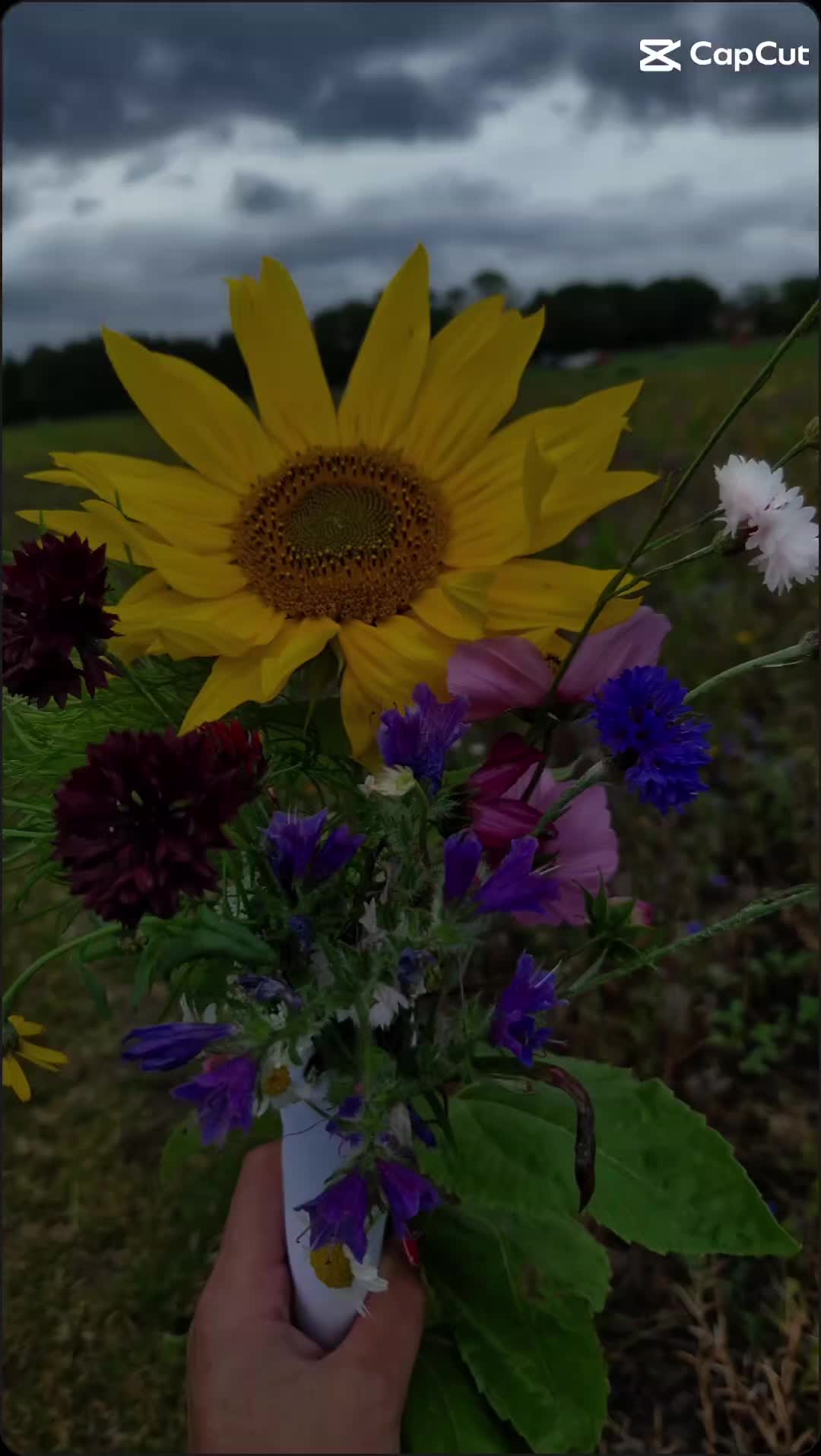 @Sarah Baker789