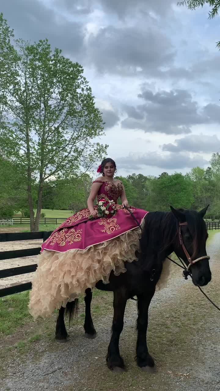 @southerncharmcarriages