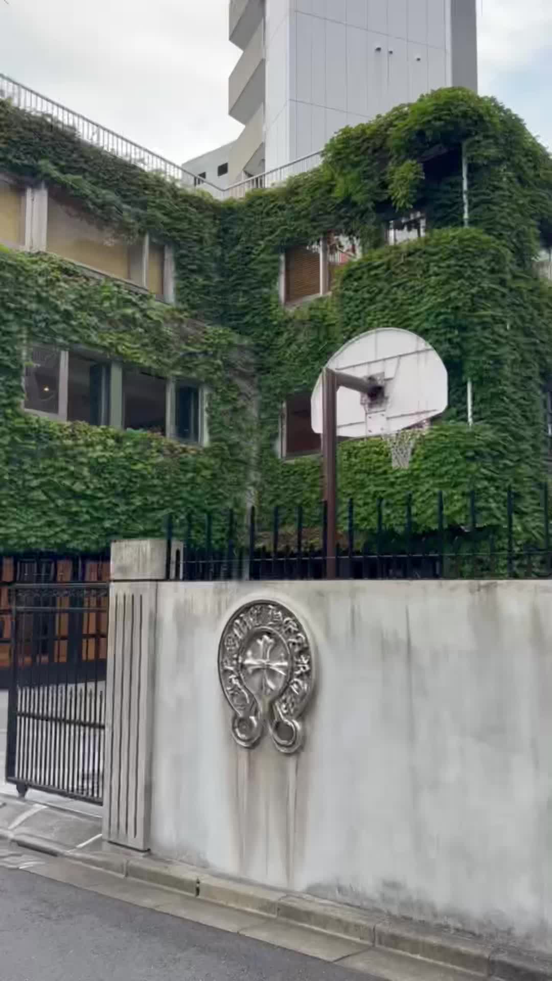 @𝐿𝓎𝓈𝓈𝒶 🪐