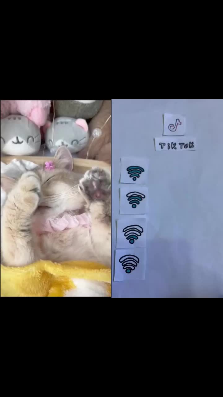 @MAX64WEYH