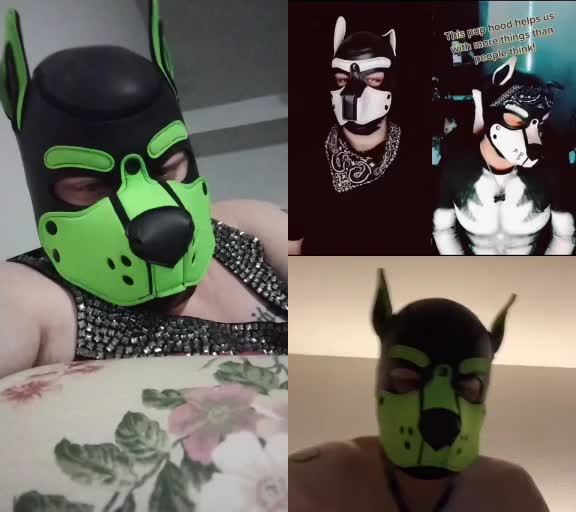 @PupNyonBlitz