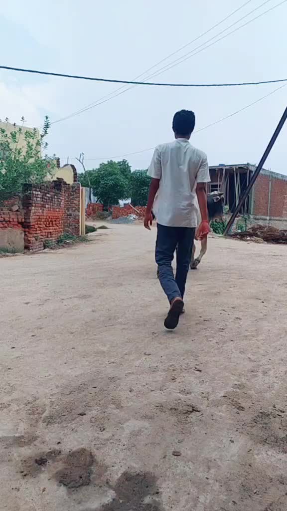 @mavai