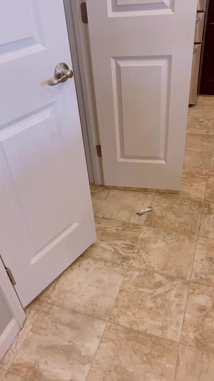 @vbfsdhgdfg