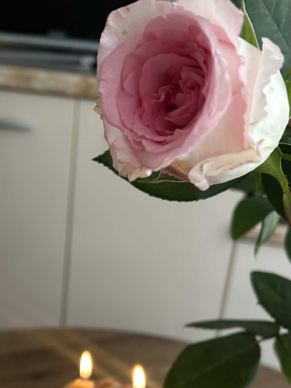 @𝓼𝓽𝓪𝓶𝓲