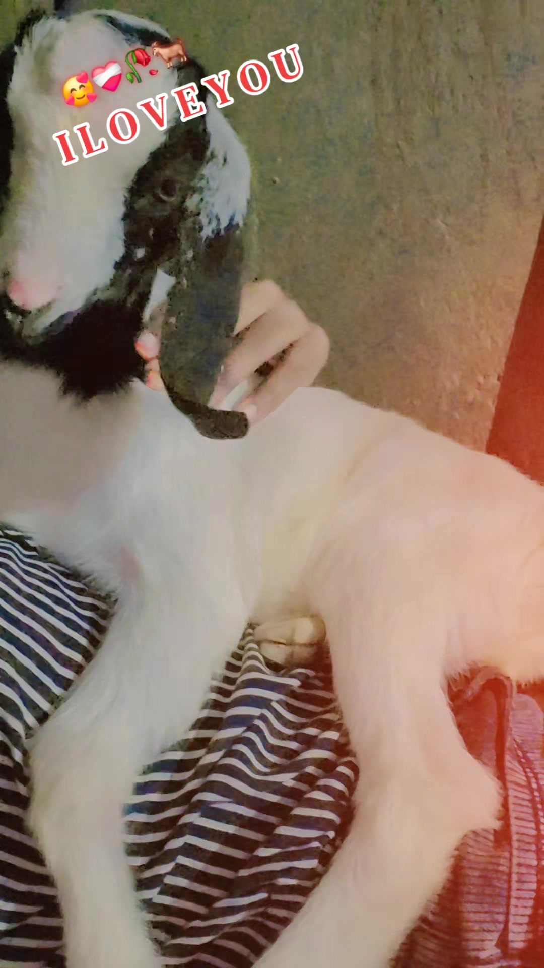 @K. R. โค๏ธ๐ฉน๐ซ๐
