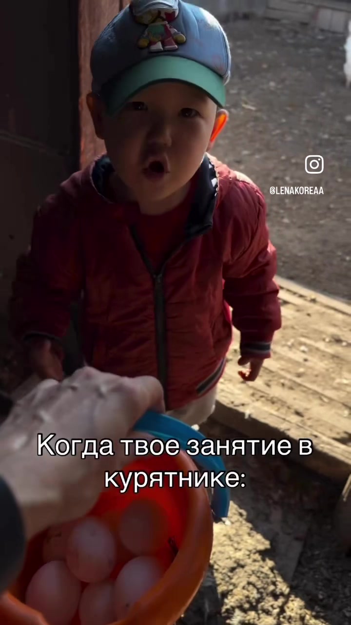 @tolmashov_v