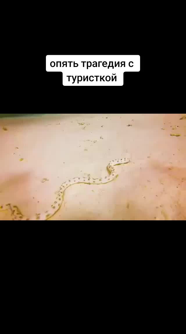 @Забава