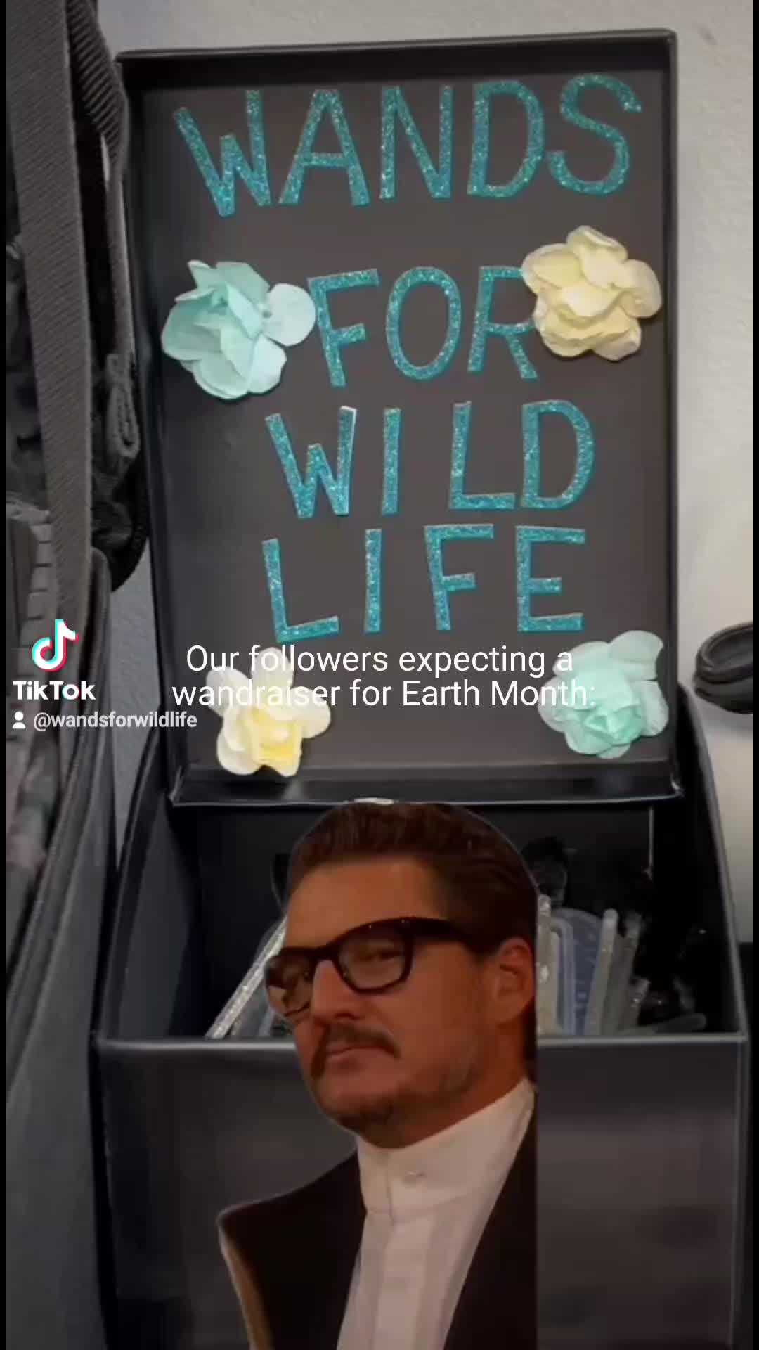 @wandsforwildlife