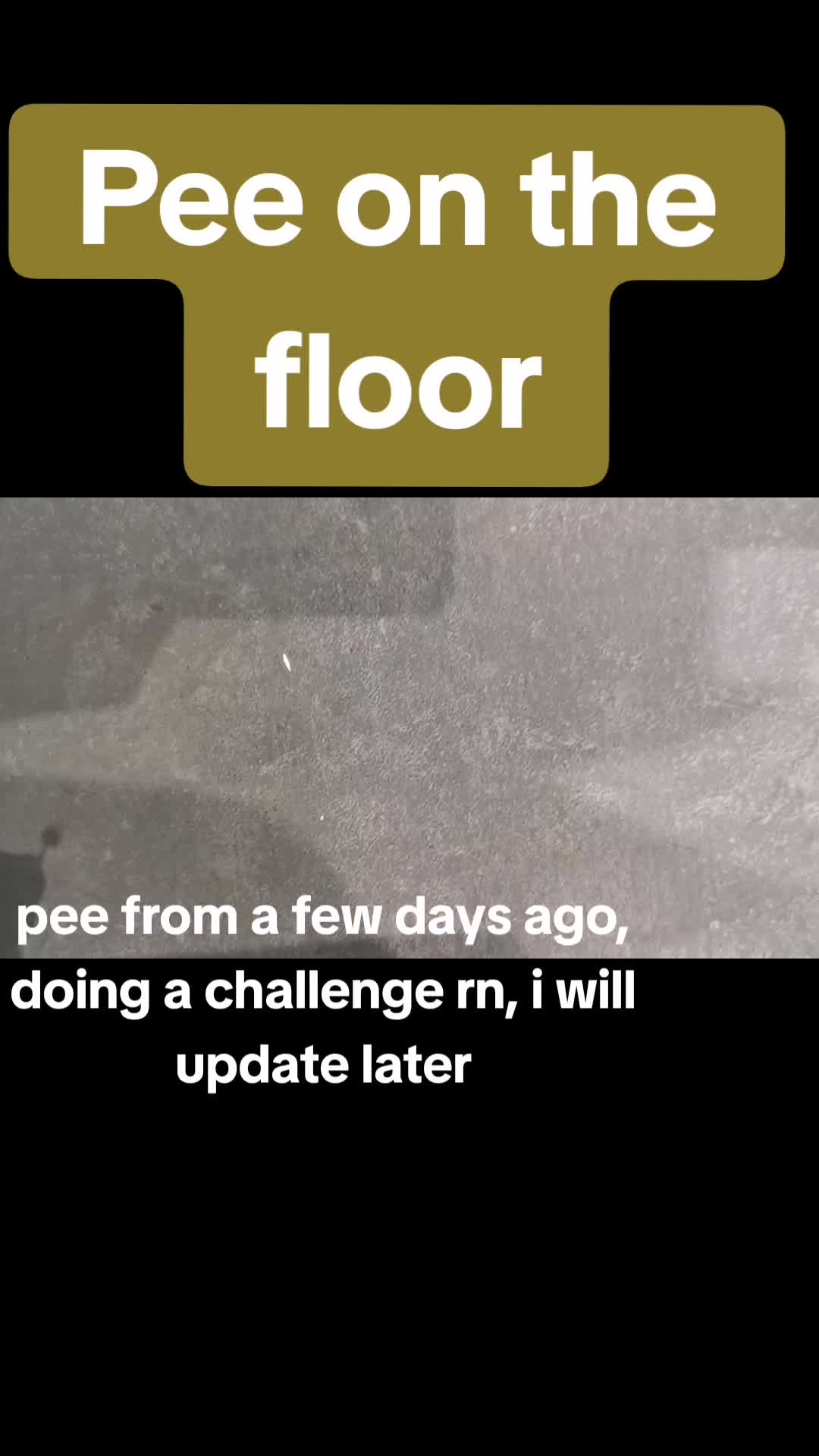 @pee and poop