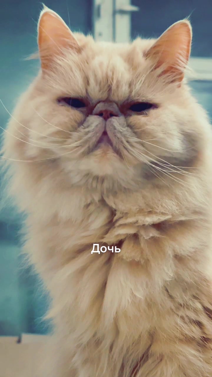 @Анатолий Мельник