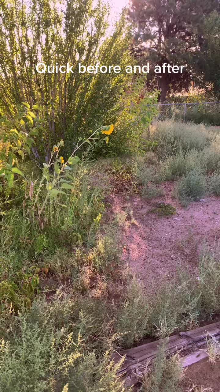 @Pros Landscaping