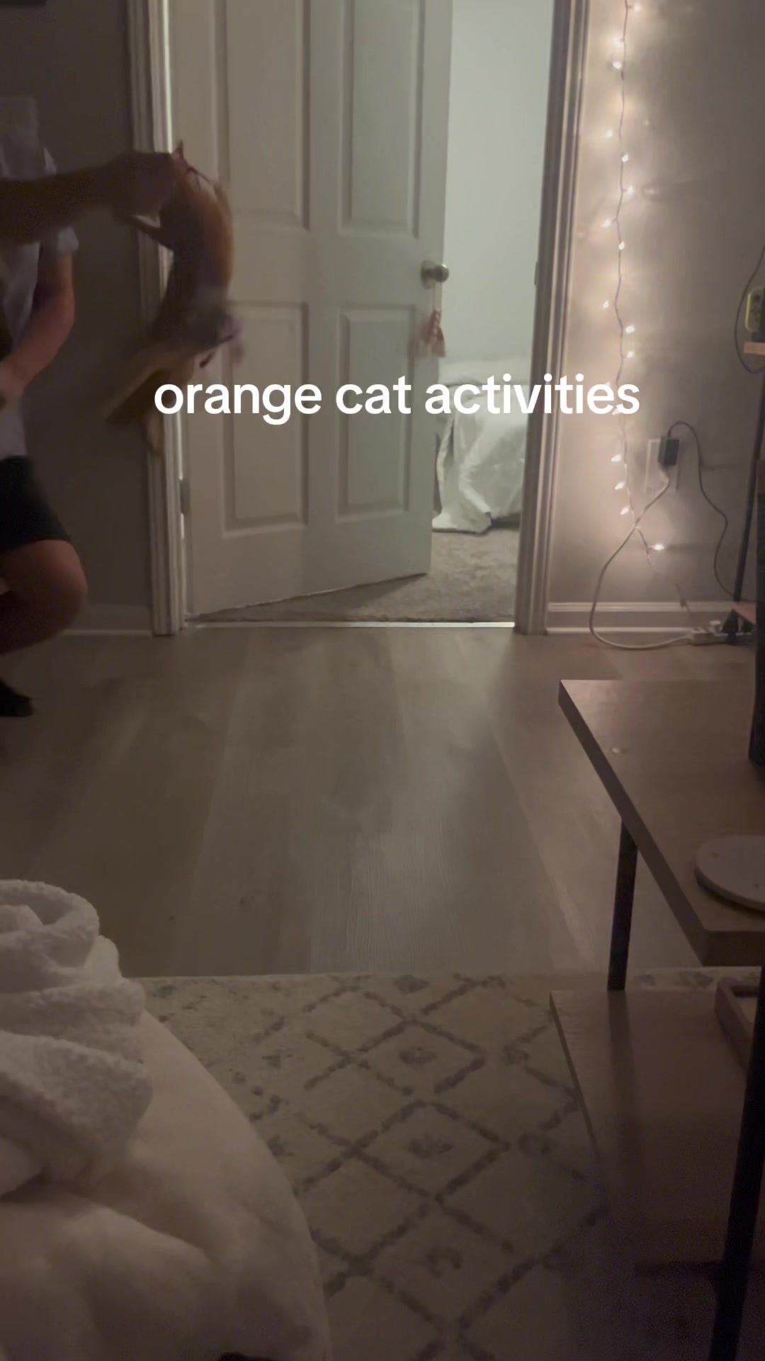 @willmo104