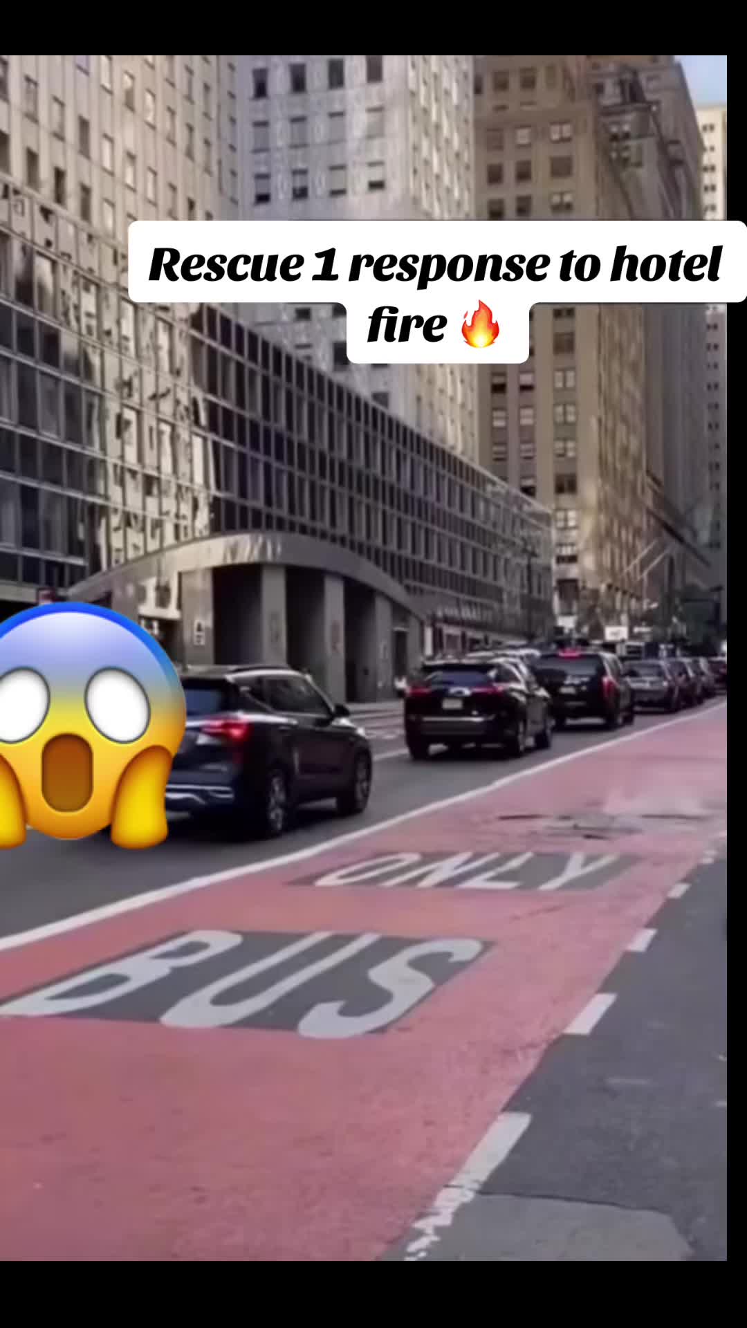@nyccarpsinthepark