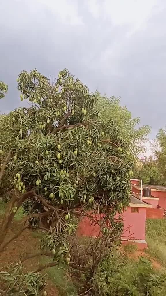 @Kajal Thakur