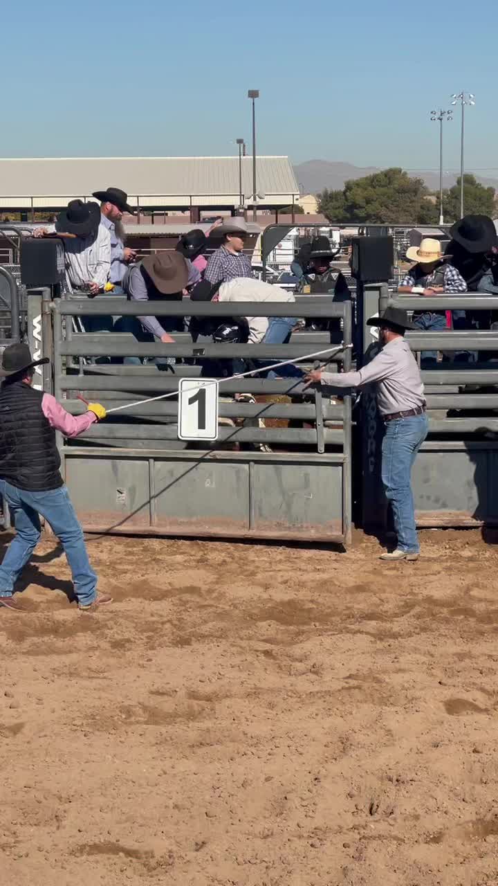@🐂Haze Reed-Mini Bull Rider🐂