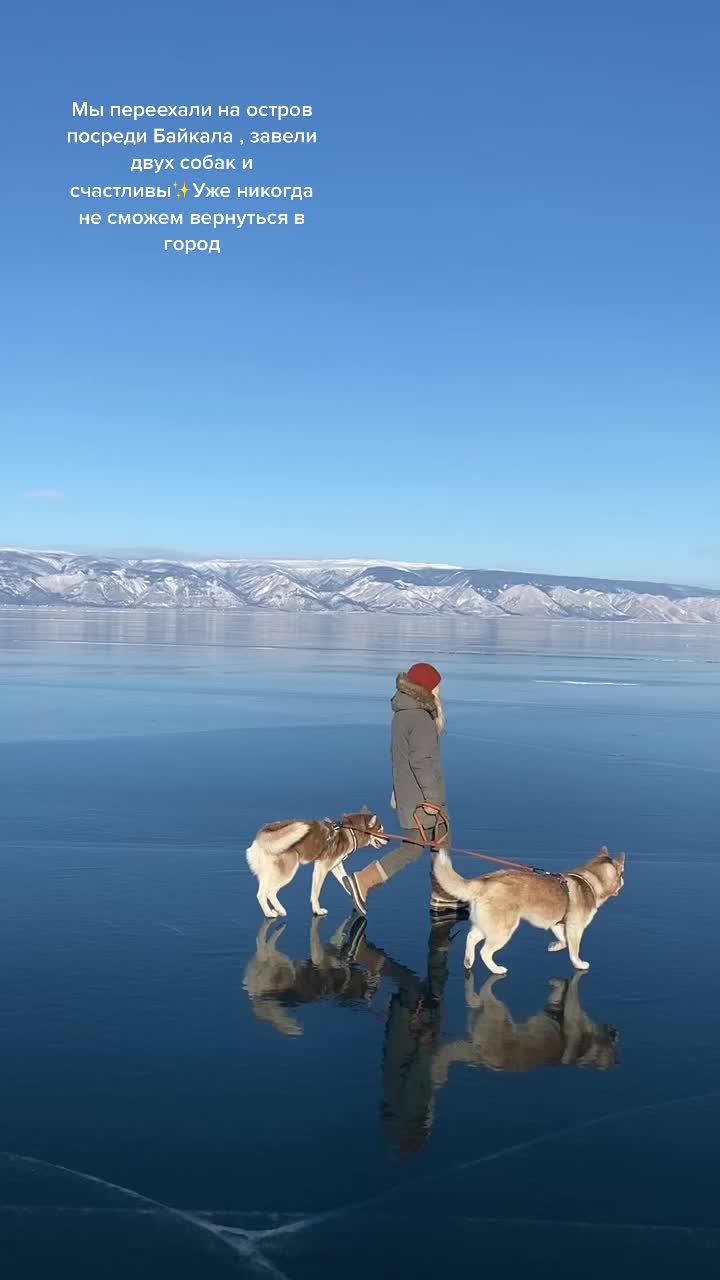 @Маша Алексеева