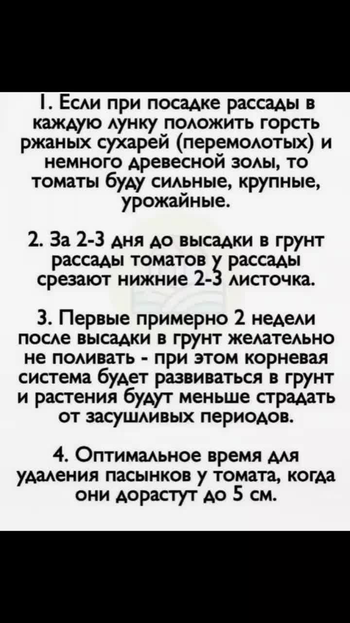 @КулДимИгр(вк, ютуб, -забегай)