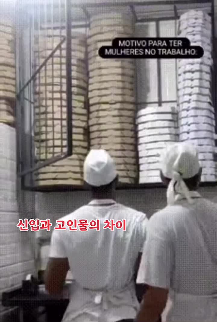 @샷쿵이