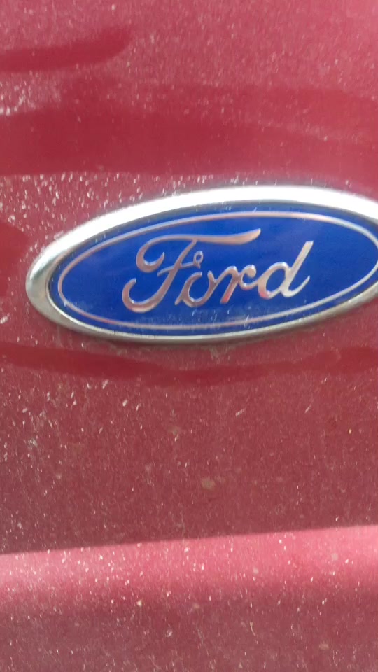 @thefrefdood