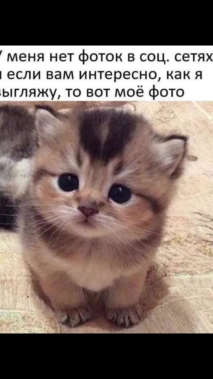 @глоток спермы
