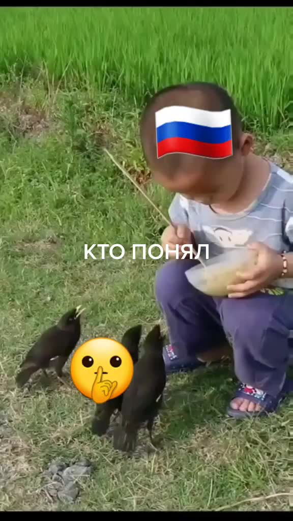 @jantoro99๐โ๏ธ