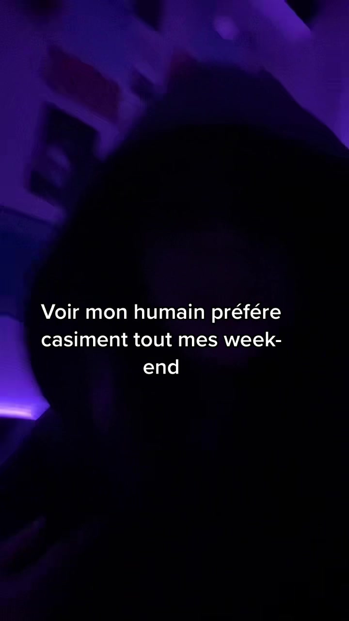 @polsmovv
