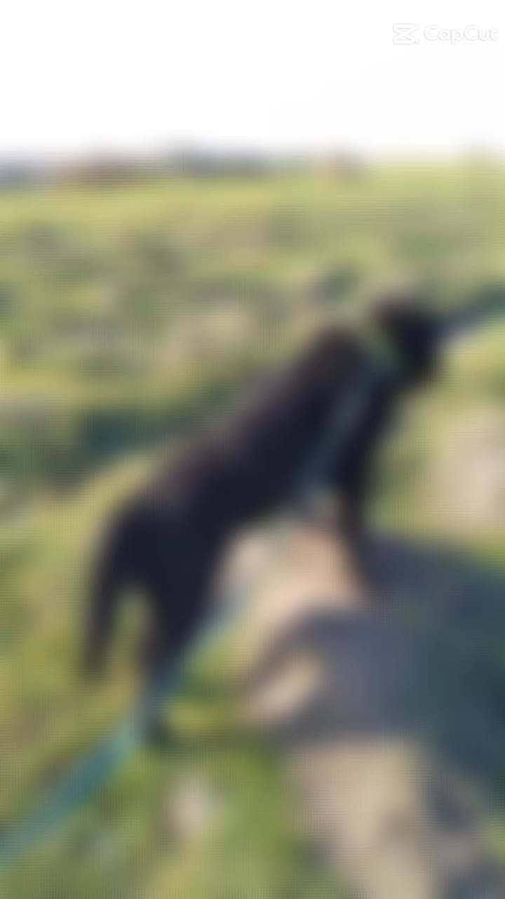 @❤️🩹🛐🐮