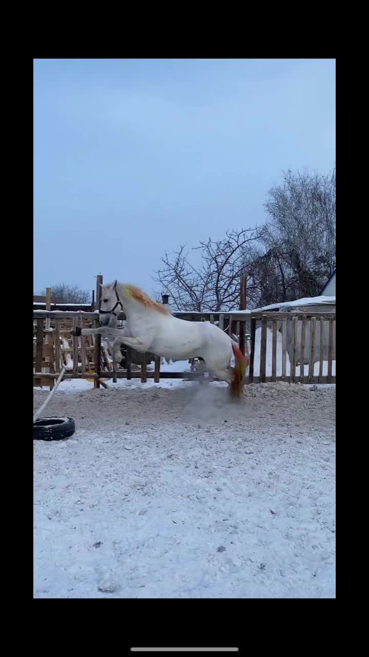 @А_нют_А🤪