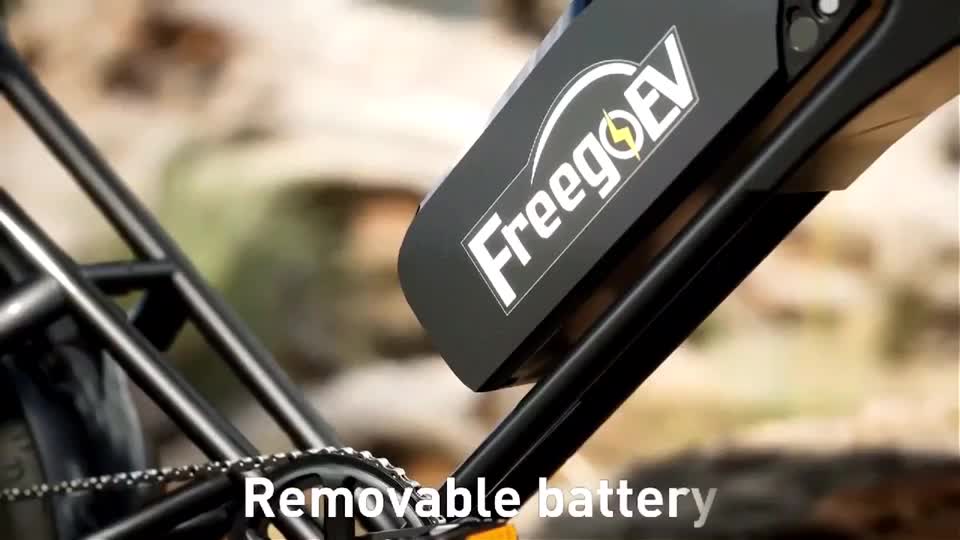 @Electric Fat Bikes