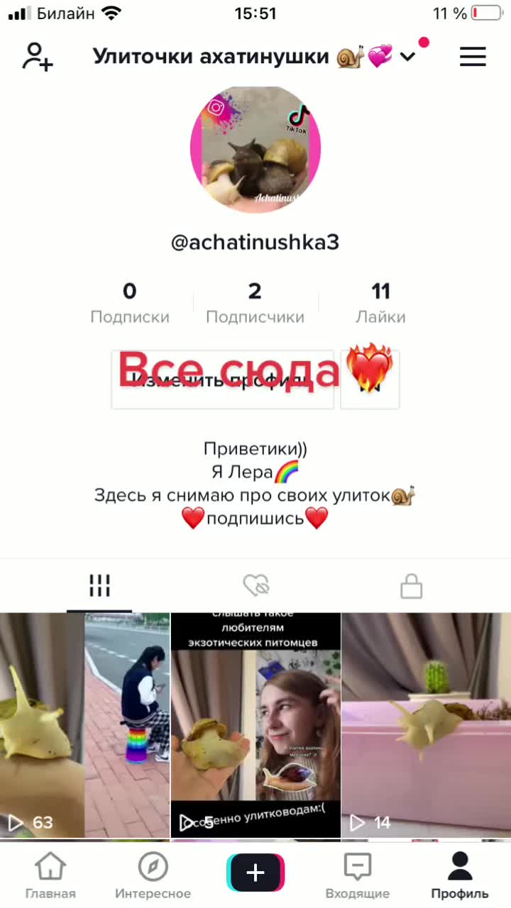 @Улиточки ахатины 🐌💕