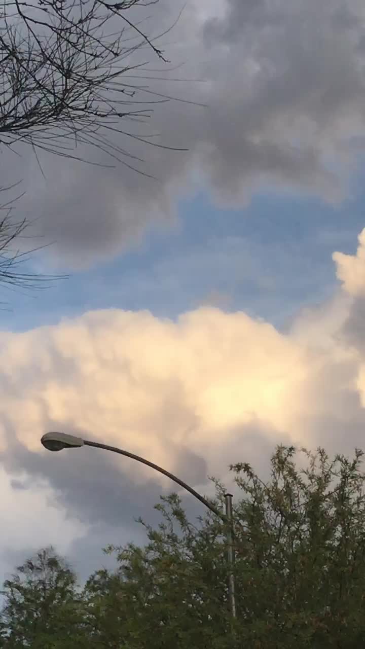 @a n i d i o t๐