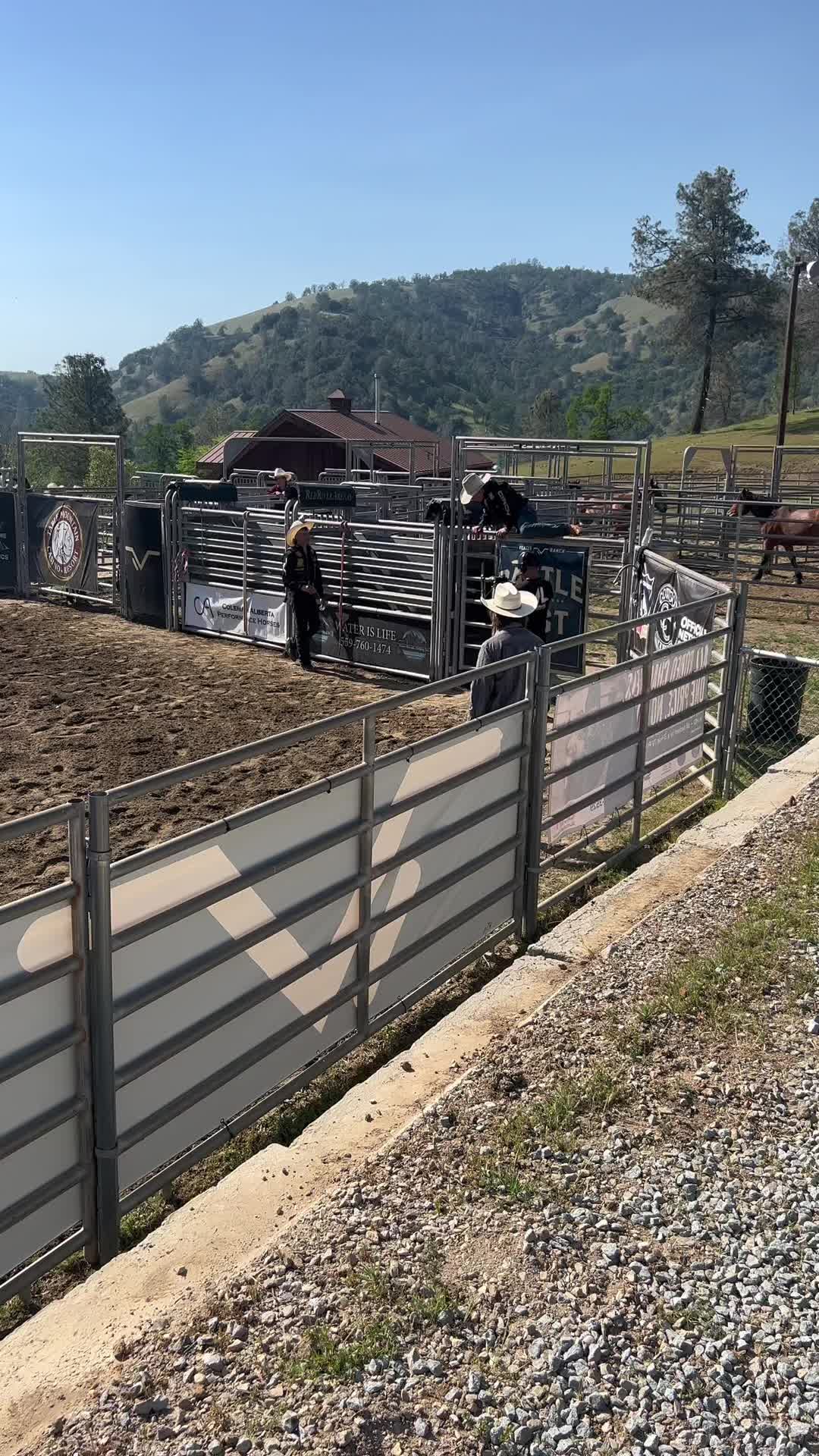 @VeaterRanch