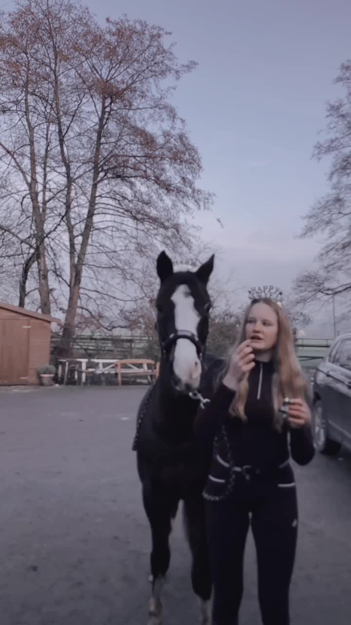 @Dressurpony🐴