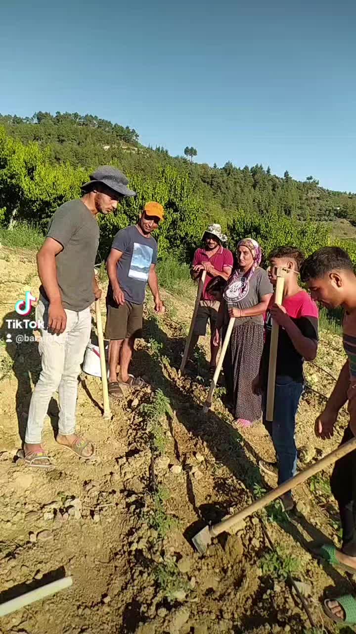 @Hüseyin Ceylan243